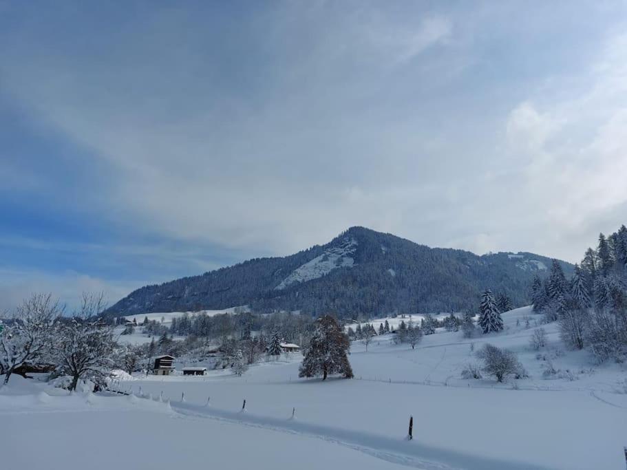 Appartamento Di Charme Praz-sur-Arly Exterior foto