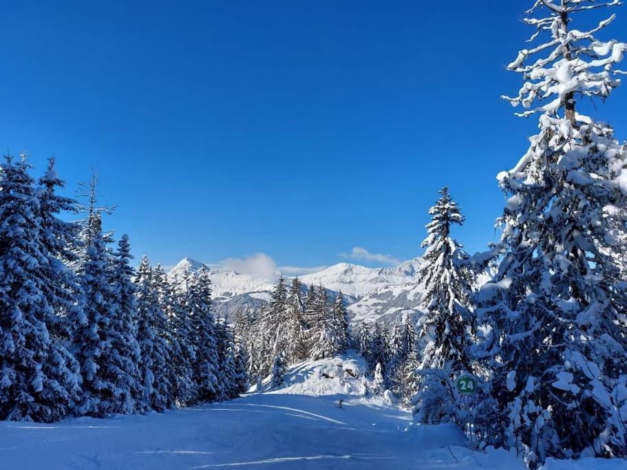 Appartamento Di Charme Praz-sur-Arly Exterior foto